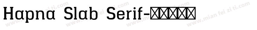 Hapna Slab Serif字体转换
